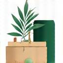 An icon representing a curated selection of wellness products.